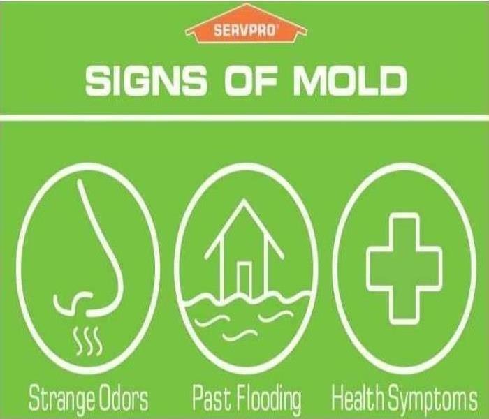 Signs of mold
