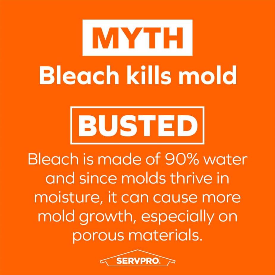 The myth of bleach and mold