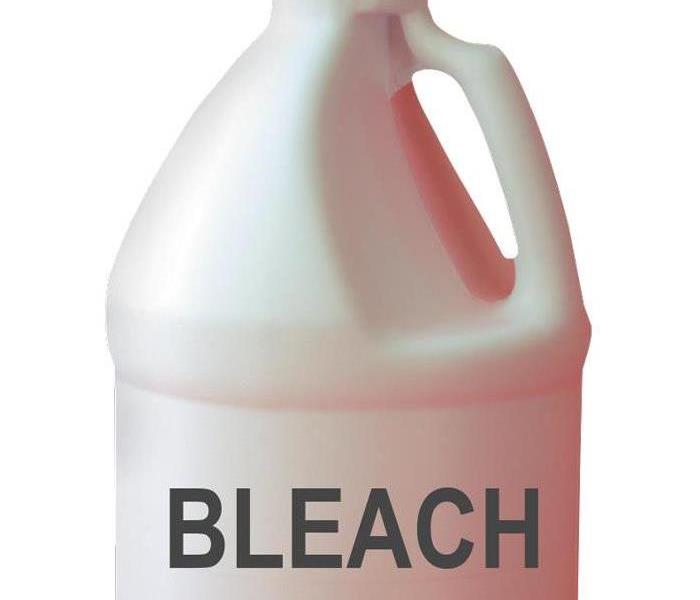 Bottle of bleach